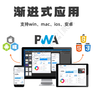 Discuz! PWA渐进式应用 正式版(domi_pwa)-1