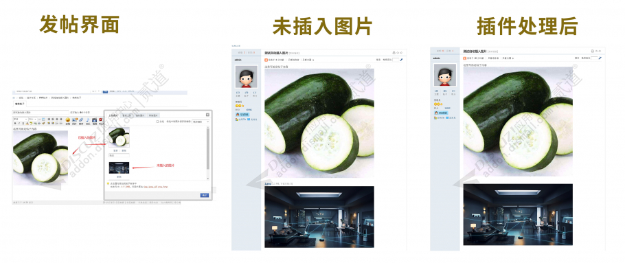 Discuz! 附件自动插入 v1.5.2 商业版(iplus_autoattach)-1